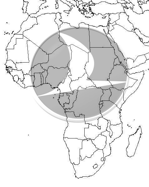 THY, Afrika’yı Uçuracak