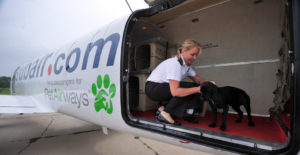 Pet Airways