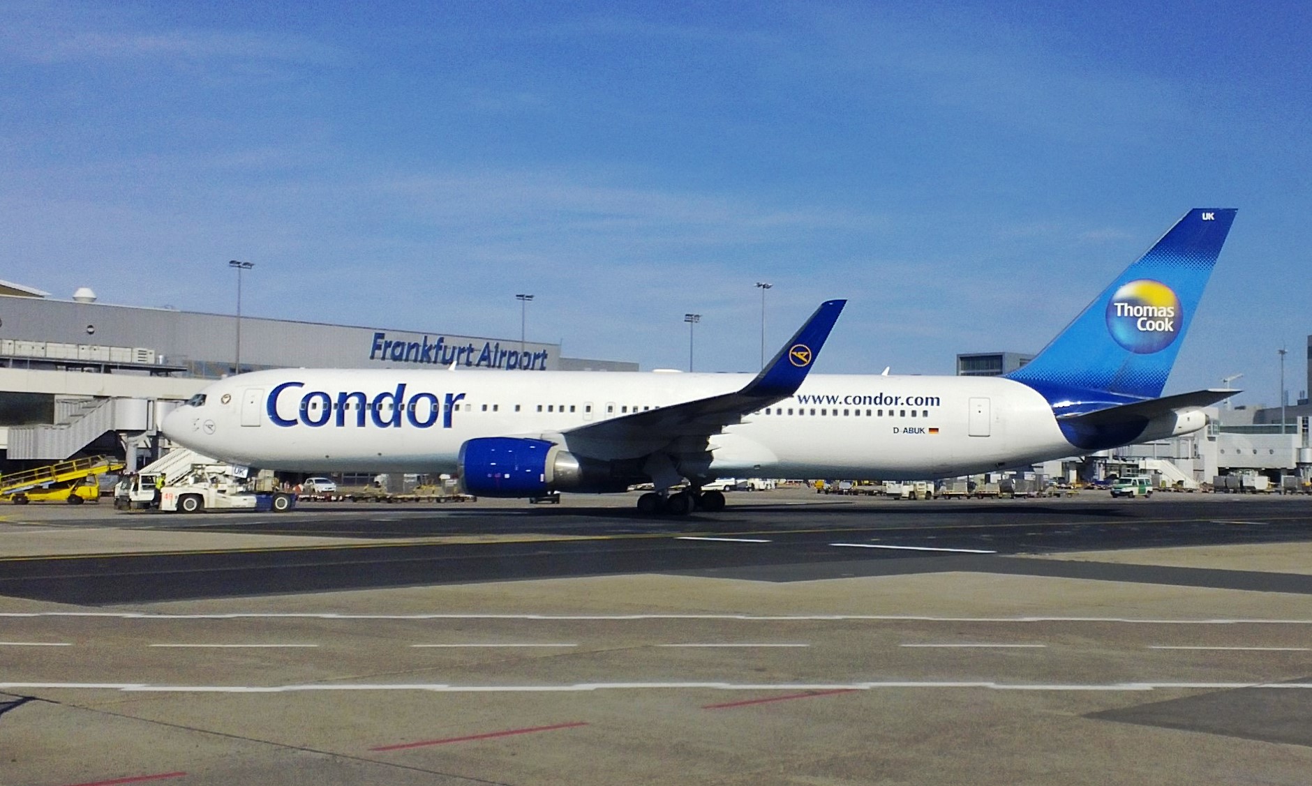 Condor