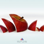 american airlines sydney reklam