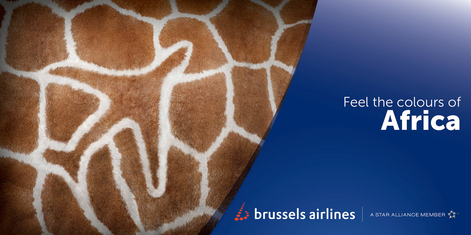 Brussels Airlines – Feel the Colours of Africa