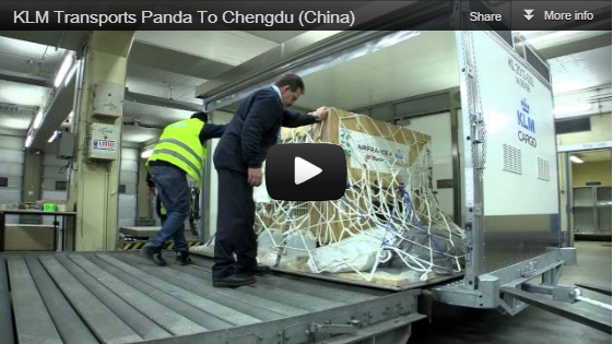 KLM transports Panda to Chengdu (China)
