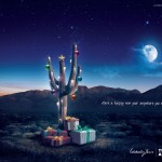 thy_turkish airlines_happy_new_year_2013_cactus