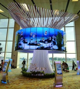 Changi Airport_social tree