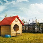 TAM animal transportation_ad_He can fly_april 2013