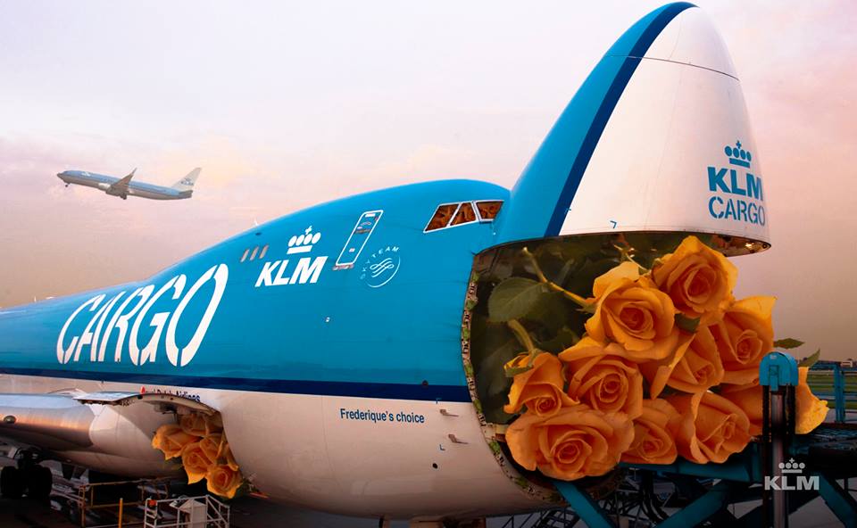 KLM Cargo – Frederique’s Choice Flowers