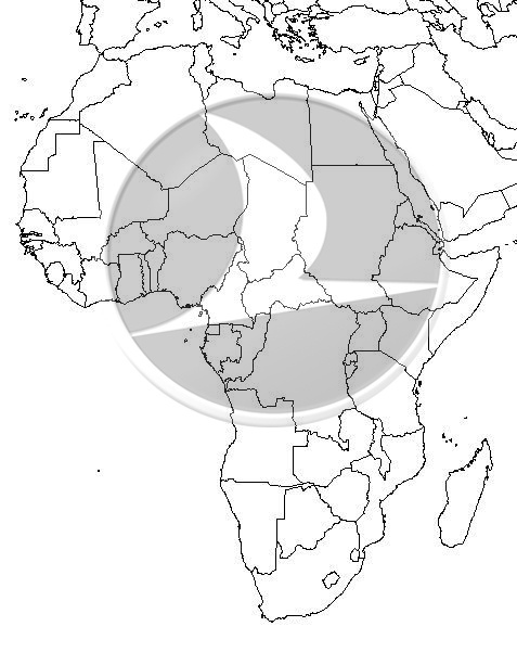 THY’nin 10 Yıllık Afrika Macerası Hangi Aşamaya Geldi?