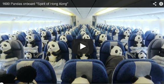 Cathay Pacific – 1600 Pandas onboard “Spirit of Hong Kong”