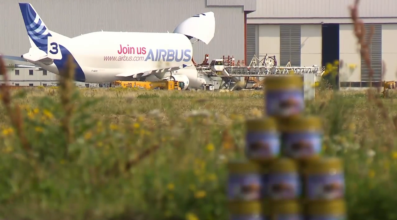 A sweet solution: Bee honey helps Airbus think green