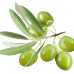 American Airlines_olive_zeytin