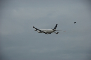 THY_Turkish Airlines_Airbus A340_TC-JDL_Sep 2014