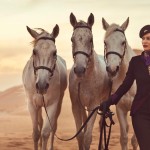 Etihad Airways_new brand_new uniform_Dec 2014_horse