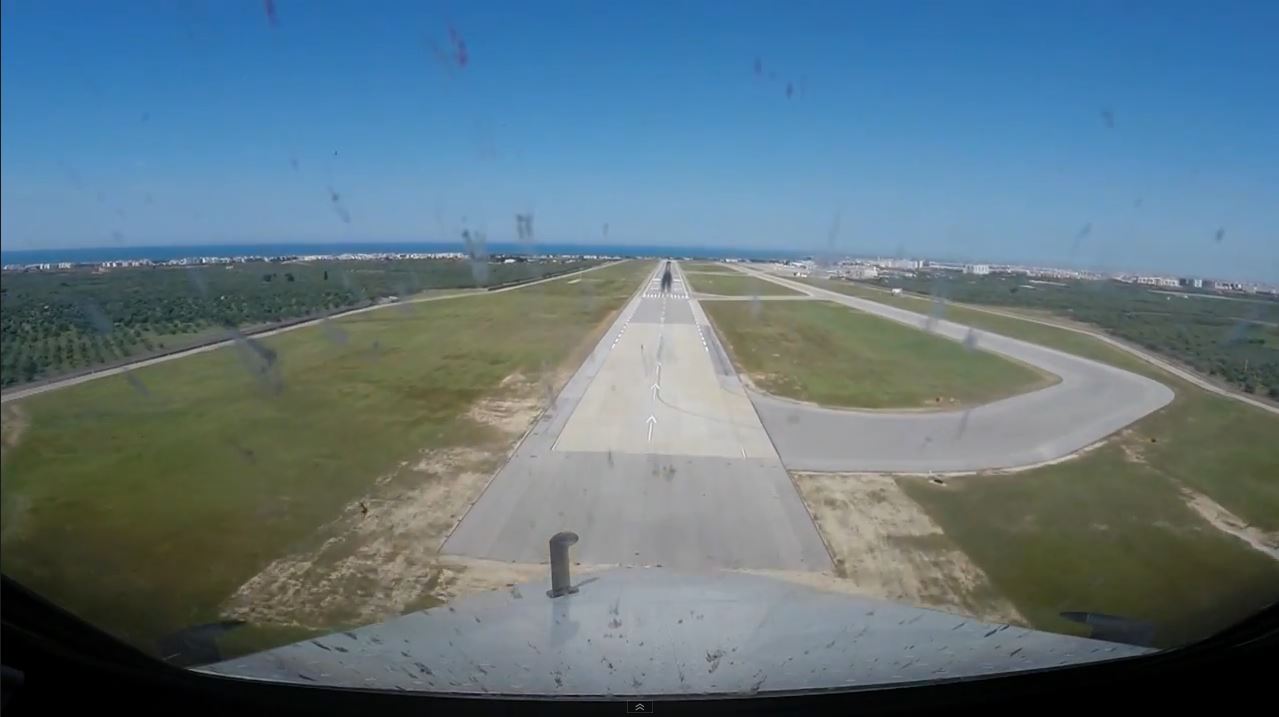 Bird Strike During Landing at Bari