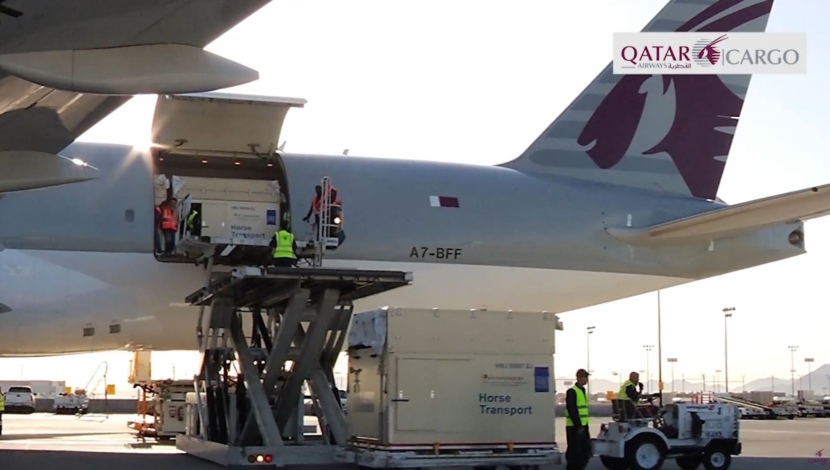 Qatar Airways - World class horses flown in style