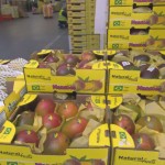 Das Perishable Center am Frankfurter Flughafen