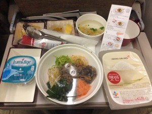 Asiana Airlines_Istanbul-Seoul_Economy Class_Jan 2016