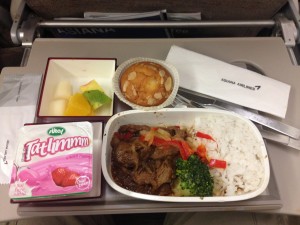 Asiana Airlines_Istanbul-Seoul_Economy Class_Jan 2016