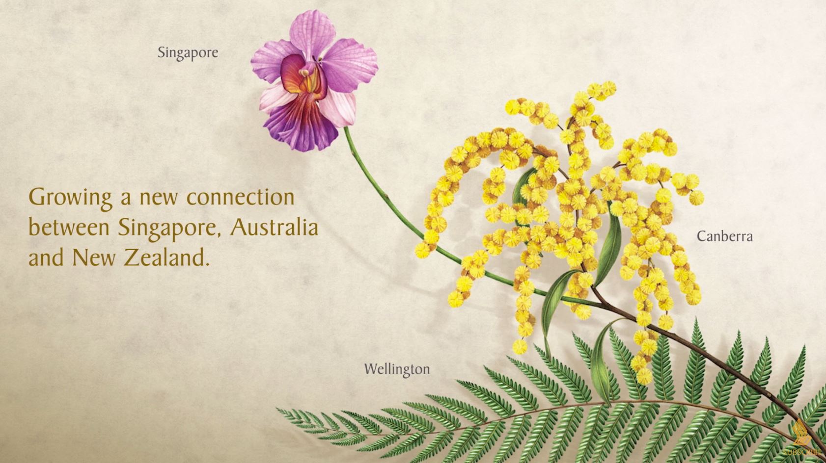 Growing A New Connection Between Singapore, Australia & New Zealand