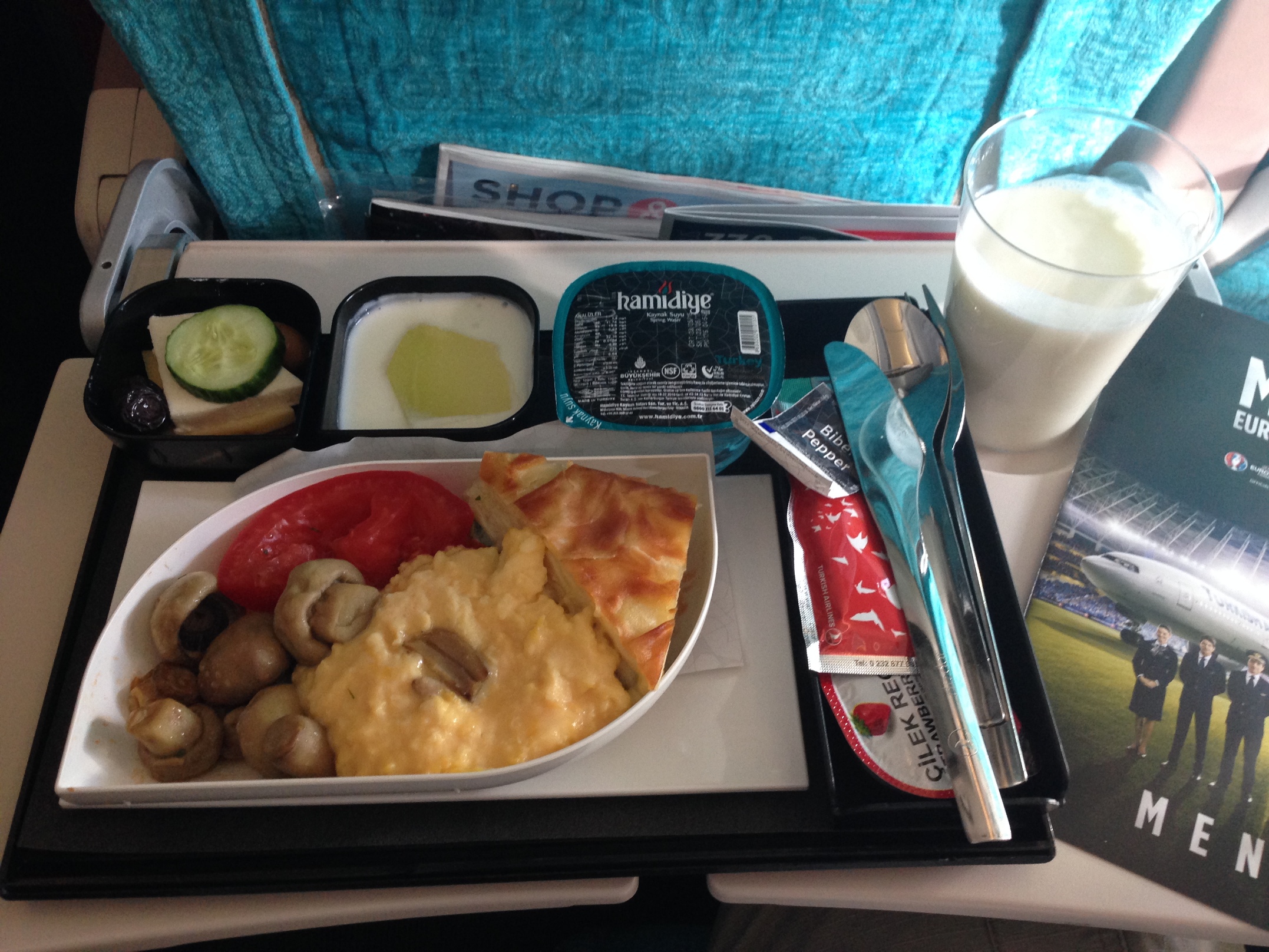 Turkish Airlines Inflight Meal (Istanbul-Berlin)