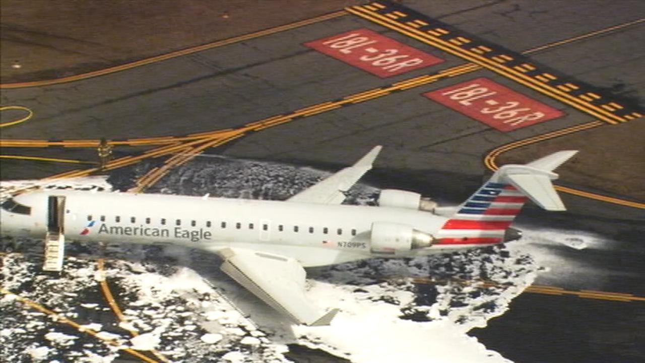 American Airlines Uçağı Geyiğe Çarptı