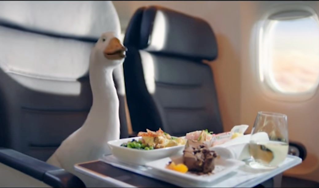 Discover a Better Way to Fly with Premium Economy