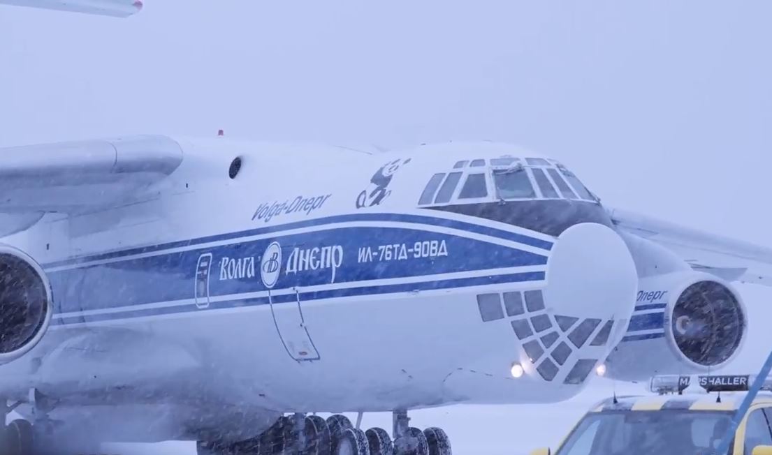 Pandas Pyry and Lumi are welcomed at Helsinki Airport