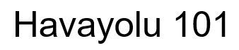 Havayolu 101