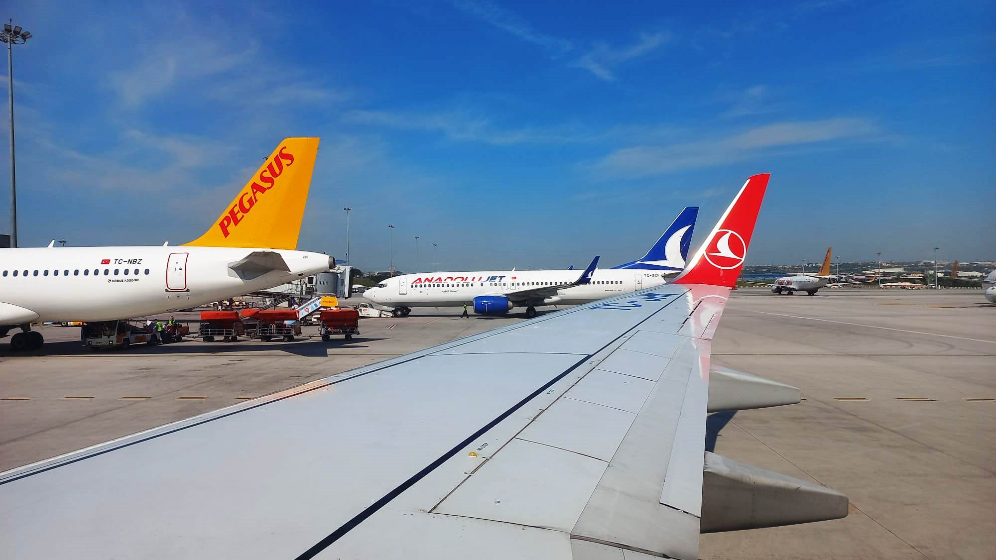 THY ve Pegasus’un Kasım Performansları