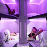 Air New Zealand - Skynest