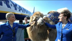 Bremen - Marakeş İlk Uçuş (Ryanair)