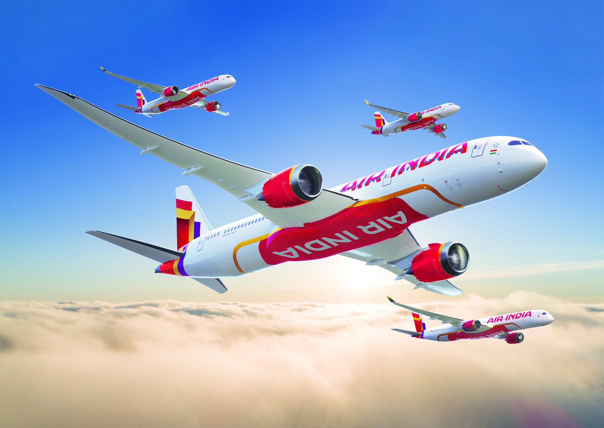 Air India, Filo Büyümesinde Frene Basabilir