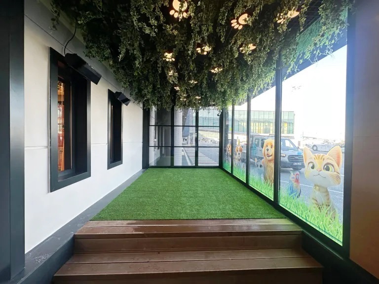 THY’den Evcil Hayvanlara Özel “Pet Lounge”