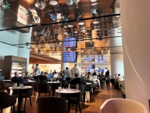 THY İç Hat Özel Yolcu Salonu x İstanbul İGA Havalimanı